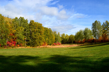 Autumn landscape with trees and blue sky with clouds