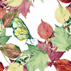 Fototapeta na wymiar Autumn leaves with insects.Image on a white and colored. Watercolor.Seamless pattern.