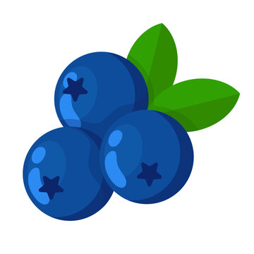 Blueberry Flat Vector Illustration Bilberry Logo Icon Clipart