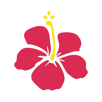 red hibiscus flower on white background clip art preview