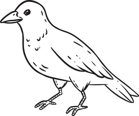 Crow or raven cartoon icon. Wild bird outline comic style image. Hand drawn isolated lineart image for prints, designs, cards. Web and mobile clipart