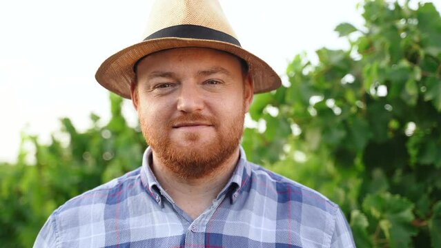 Authentic close up shot of happy male farmer or winemaker is smiling satisfied with results of grape harvesting in vineyard for further high quality wine production.