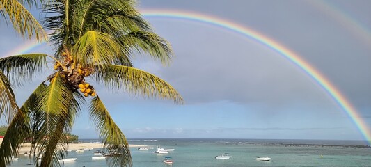 Rainbow over the ocean on a beach with palm trees.