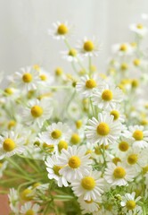 部屋に飾ったカモミールの花