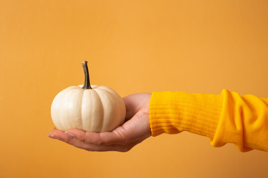 A small decorative white pumpkin in a woman's hand in a sweater on an orange background