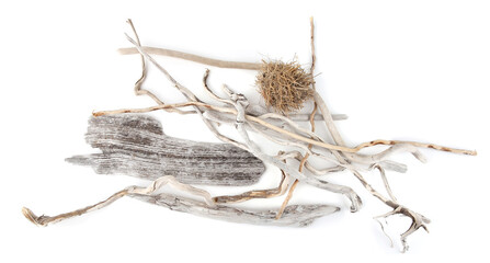 Sea driftwood branches and ball of grasses isolated on white background. Dry drift wood washed on...