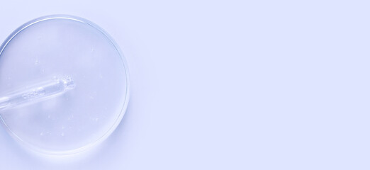 glass pipette serum gel in petri dish on a light background