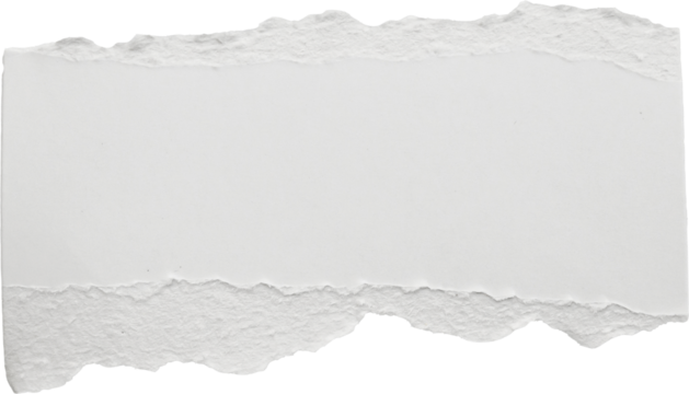 White ripped paper torn edges strips
