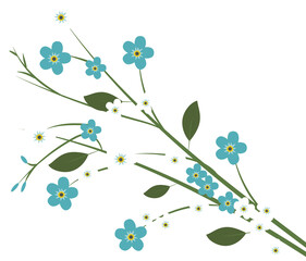 Spring flowers on tree branch