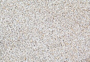 Brown and white beans pattern as background