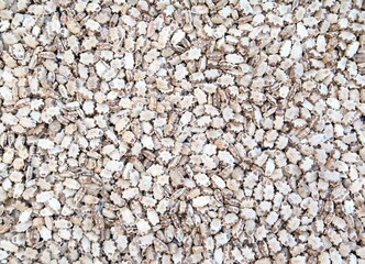 Brown and white beans pattern as background