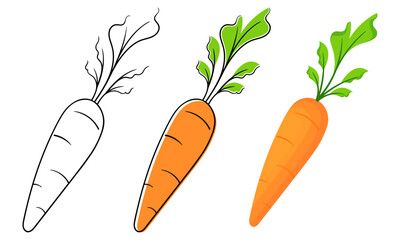 carrots with three kinds of designs, hand drawn carrots, colored with outlines and colored versions on a white background