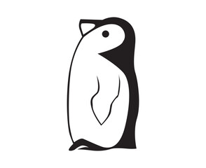 penguin illustration