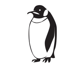 penguin illustration