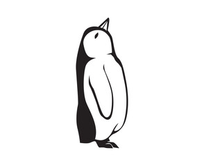 penguin illustration