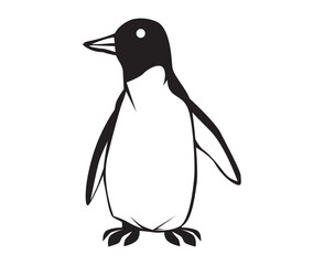 penguin illustration