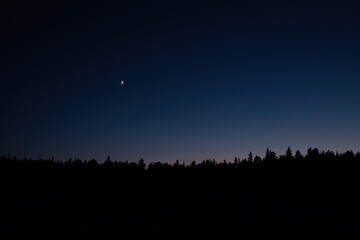 Treeline silhouette just after sunset or before sunrise with moon and Venus in the sky above the...