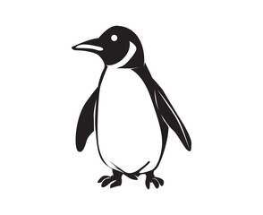 penguin illustration