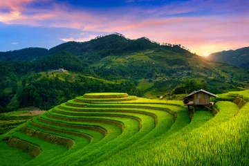Photo sur Plexiglas Mu Cang Chai Beautiful Rice terraces at Mam xoi viewpoint in Mu cang chai, Vietnam.