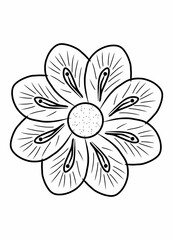 Fototapeta premium white dahlia flower isolated on white background
