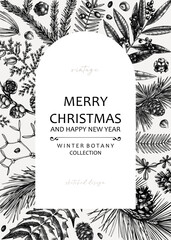 Merry Christmas card. Square frame with evergreen plants, conifers, and nuts drawing. Winter design with hand-drawn botanical illustrations. Christmas background, New Year invitation template