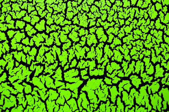 The cracked surface of green paint on a black background, the effect of craquelure paint. Green texture of antique design in bright color.