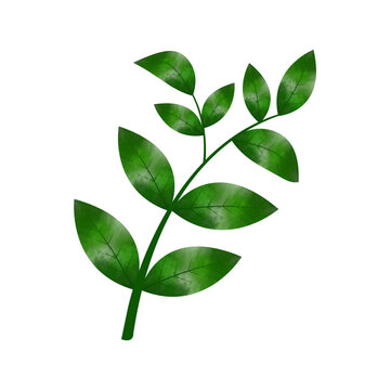 recommend clip art: Leaves Clip art Design, can be used this design to print on greeting cards, frames, mugs, 
                    shopping bags etc. whatever you want.