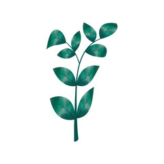 Leaves Clip art Design, can be used this design to print on greeting cards, frames, mugs, 
shopping bags etc. whatever you want.