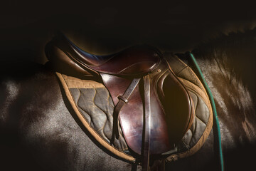 saddle on the horse back against a black, dark background of the stable. Equestrian equipment ready...