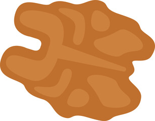 Walnut icon. Healthy Food