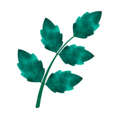 Leaves Clip art Design, can be used this design to print on greeting cards, frames, mugs, 
shopping bags etc. whatever you want.