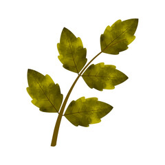 Leaves Clip art Design, can be used this design to print on greeting cards, frames, mugs, 
shopping bags etc. whatever you want.