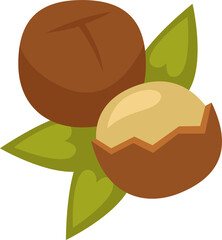 Macadamia nuts Healthy Food