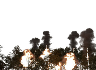 Burning forest burning trees burning forest isolated burning forest