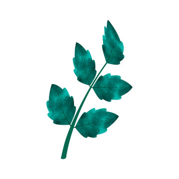 recommend clip art: Leaves Clip art Design, can be used this design to print on greeting cards, frames, mugs, 
                    shopping bags etc. whatever you want.