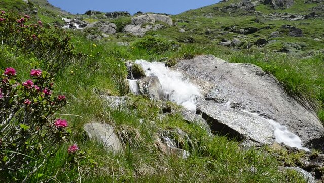 small mountain stream in the Austrian Alps
