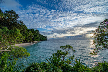 Beautiful tropical beach, trees and turquoise ocean view, Angaur island, Palau, Pacific