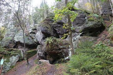 Obraz premium Felsen bei Hohnstein in Sachsen