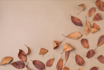 Flat lay composition with pattern of autumn leaves , Natural nude, beige