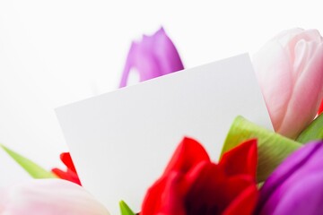 Fototapeta premium Tulips with note