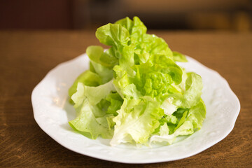 fresh green lettuce