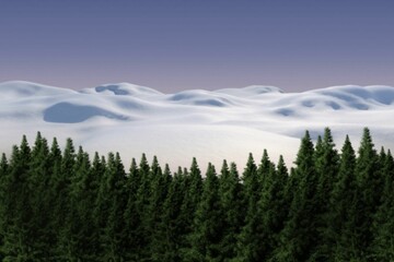 Fototapeta premium Fir tree forest in snowy land