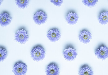 Top view, floral pattern with purple flowers  flat lay on white background.  Top view of purple flowers arrange  flat lay white background .The concept of beautiful purple flowers on white background.