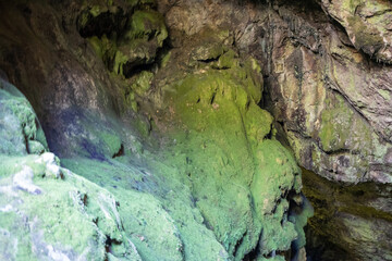 Cave walls overgrown with moss