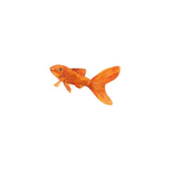 Goldfish. Watercolor illustration. Aquarium fish. A symbol of good luck, prosperity.