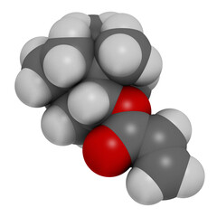 Isobornyl acrylate molecule. 3D rendering. Atoms are represented as spheres with conventional color coding: hydrogen (white), carbon (grey), oxygen (red).