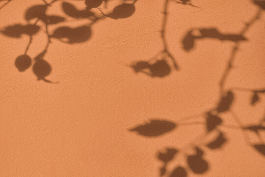 Abstract leaves and berries shadows on light brown concrete wall texture. Abstract trendy earth tones colored nature concept background. Copy space for text overlay, poster mockup flat lay 