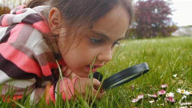Concentrated little girl looks through a magnifying glass at wild flowers in the park. Little young naturalist explorer wants to know everything while walking in the park in nature 