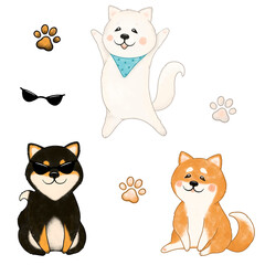 Shiba inu dog black, red, white and dog paw print. Cute dogs are sitting, having fun. For fabric, t-shirt, i am cool. on a transparent background.