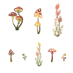 magic forest mushrooms on a white and craft background. Red mushrooms, fern and forest grass. Without background.